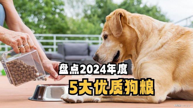 2025年狗粮市场分析：市场规模持续扩大高品质产品成主流(图2)