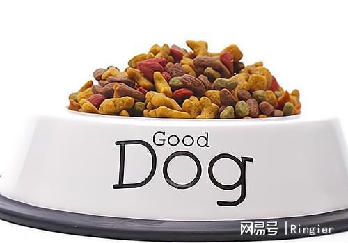 2025年狗粮市场分析：市场规模持续扩大高品质产品成主流(图4)