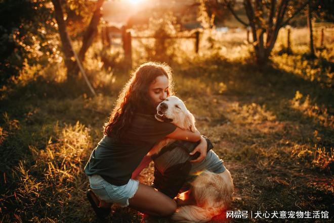 九游体育：文明养宠：共筑和谐人宠家园(图3)