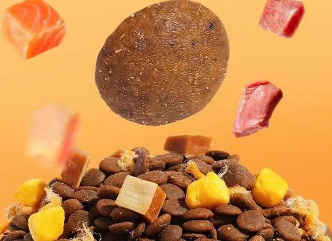 挑选狗粮不发愁 网易严选以匠心品质为狗狗提供全面营养支持(图2)