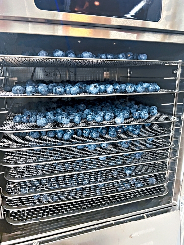 九游官网入口：量身打造专属狗粮专业营养师兽医把关Petsona让毛孩吃得安心又健康(图6)