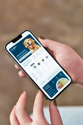 九游官网入口：量身打造专属狗粮专业营养师兽医把关Petsona让毛孩吃得安心又健康(图5)