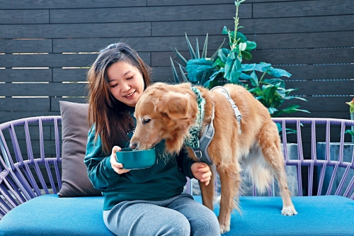 九游官网入口：量身打造专属狗粮专业营养师兽医把关Petsona让毛孩吃得安心又健康(图2)