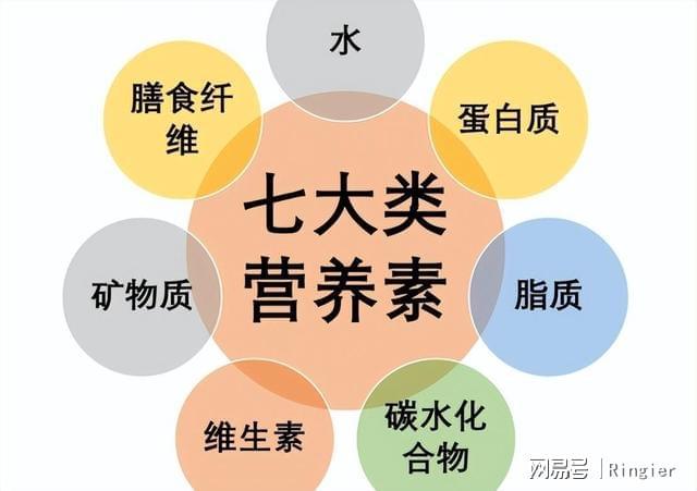 优质狗粮的7S标准：宠物营养与健康的新标杆(图3)