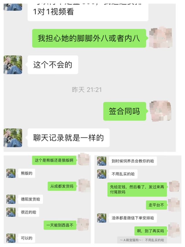 女子网购宠物遇陷阱！到货的“萌宠”是病狗且另买狗粮才“包活”(图6)