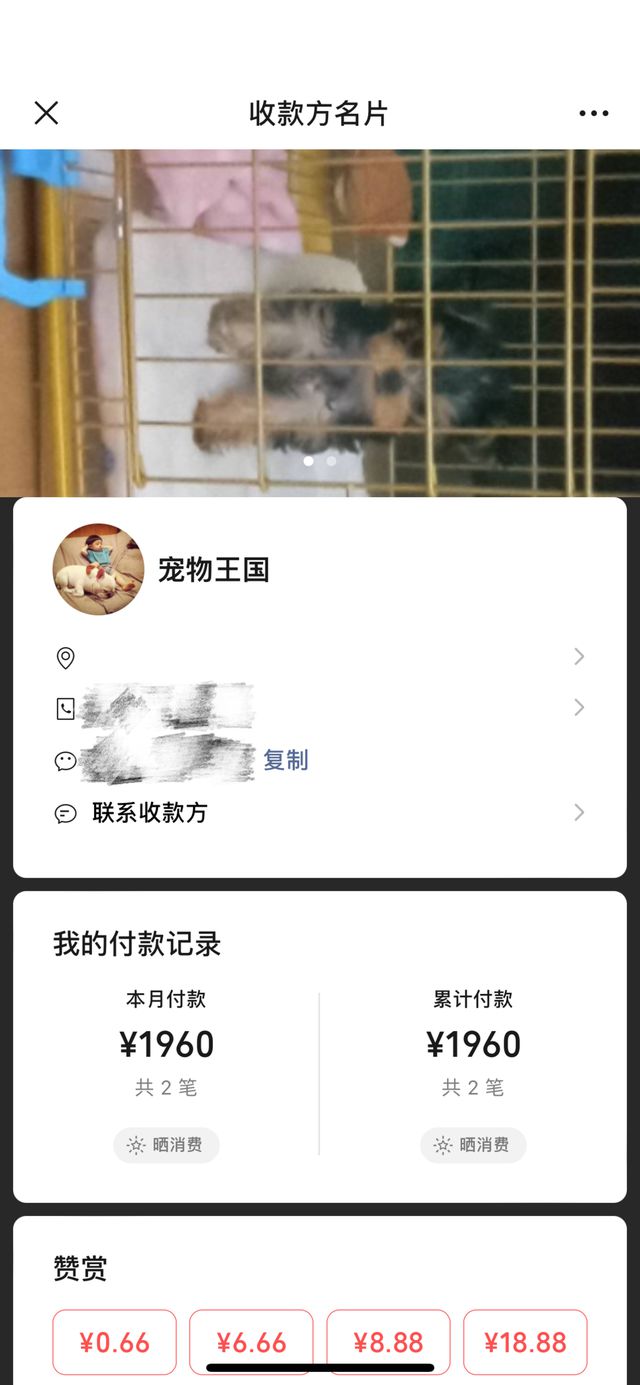 女子网购宠物遇陷阱！到货的“萌宠”是病狗且另买狗粮才“包活”(图8)