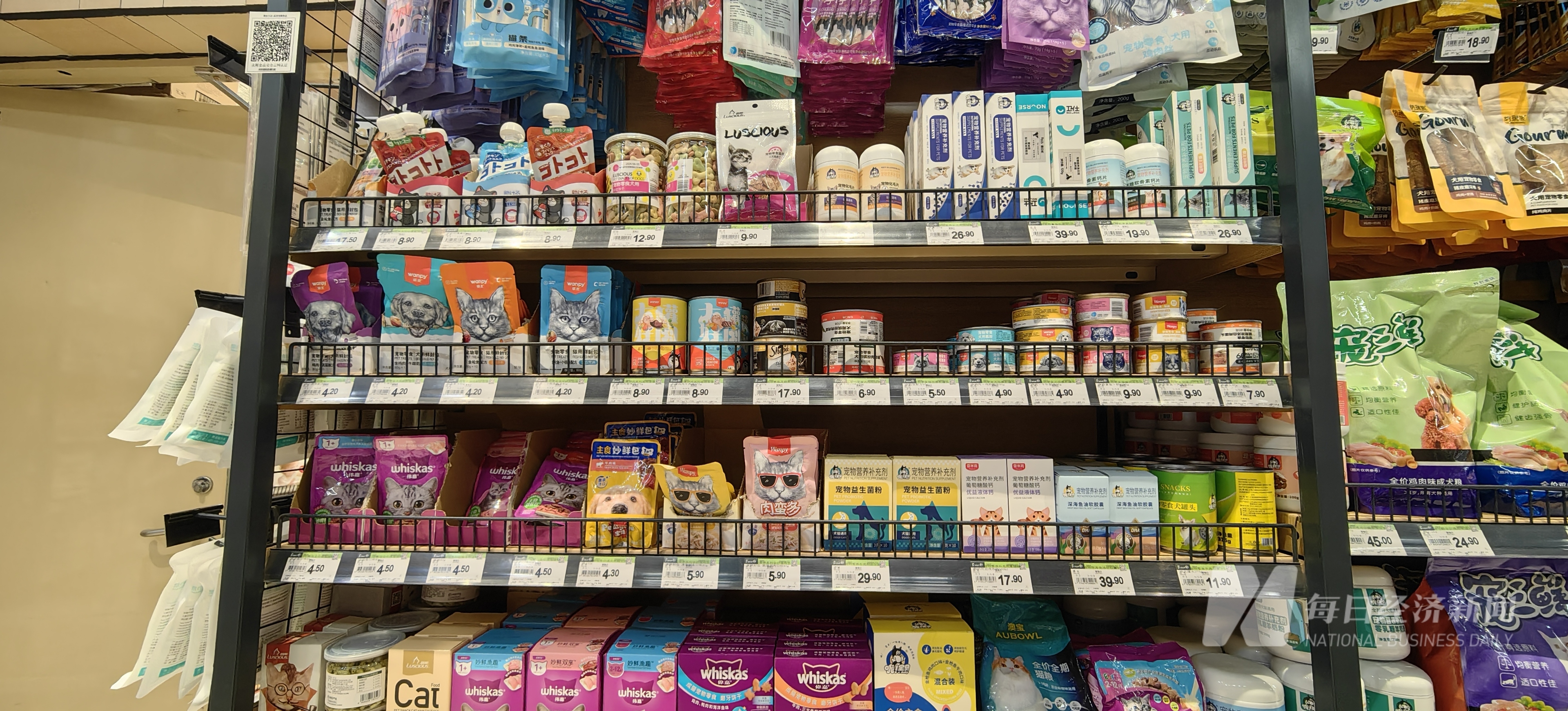 九游体育：“2025 宠物消费·智享未来报告”｜狗粮也加中药宠物从“吃饱”转型“吃好” 国产品牌崛起驱动万亿元市场(图2)