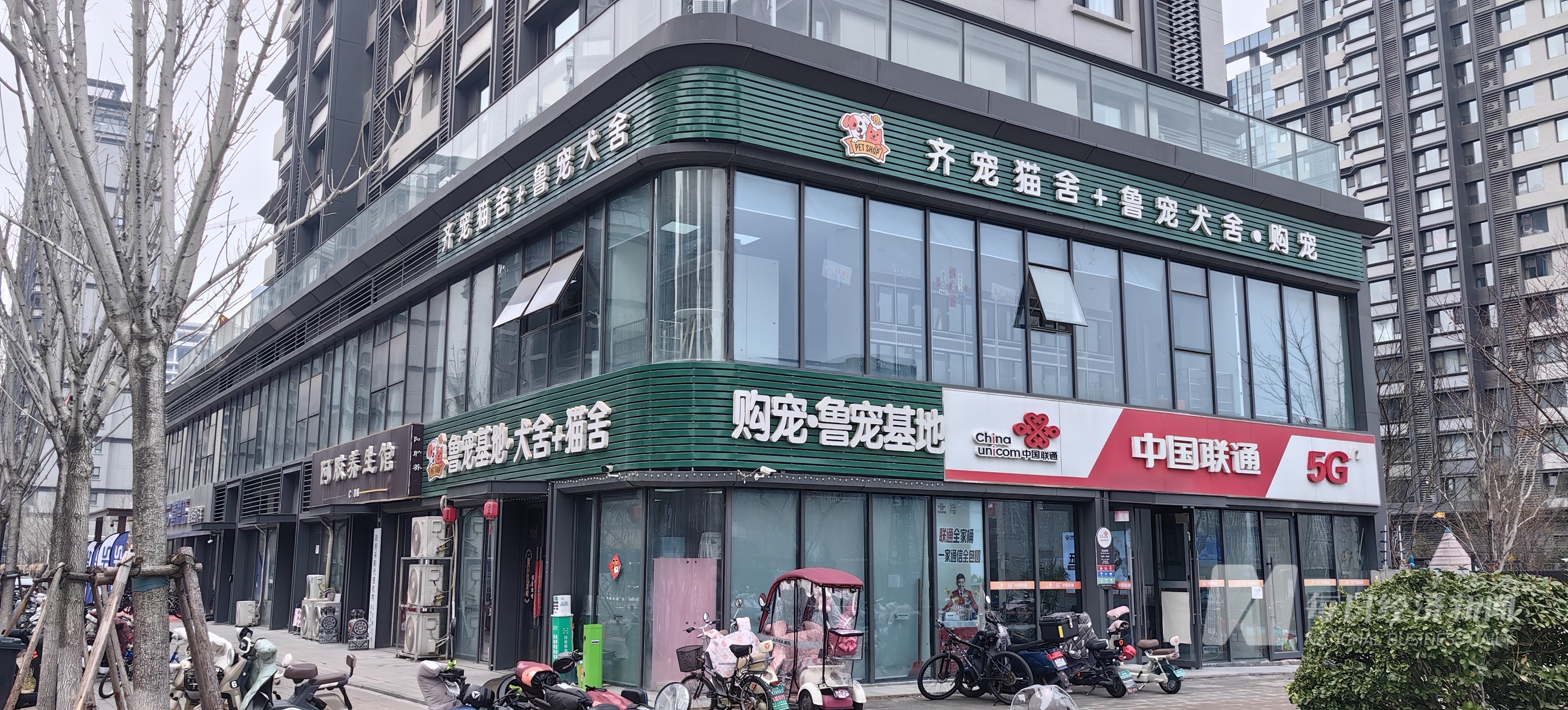 九游体育：“2025 宠物消费·智享未来报告”｜狗粮也加中药宠物从“吃饱”转型“吃好” 国产品牌崛起驱动万亿元市场(图3)