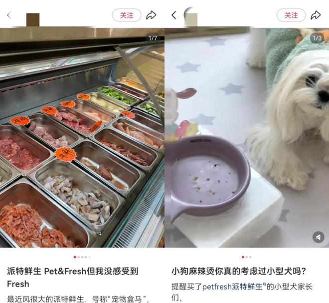 自己吃拼好饭宠物吃米其林大餐“富养宠物”捧红一个百亿市场(图6)