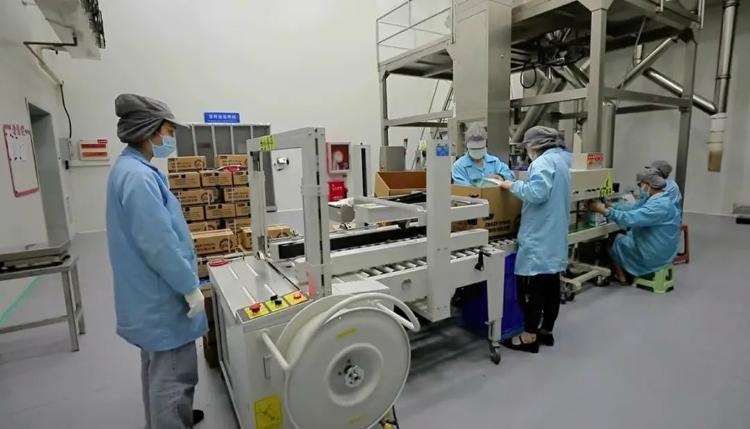 购买猫咪跑步机、心率仪让猫减肥 宠物细分市场经济蓬勃发展(图6)