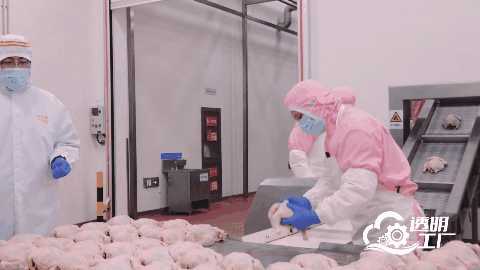 人民网“透明工厂”走进顽皮 解码一颗宠粮的全球进化论(图2)