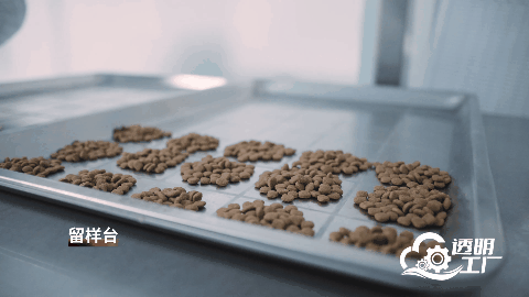 人民网“透明工厂”走进顽皮 解码一颗宠粮的全球进化论(图5)