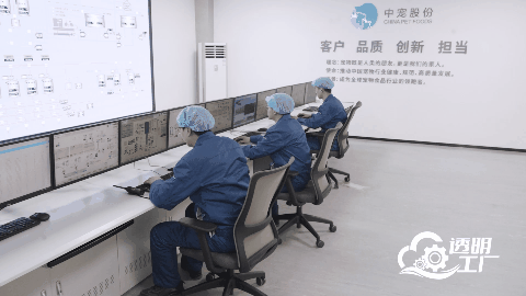 人民网“透明工厂”走进顽皮 解码一颗宠粮的全球进化论(图3)