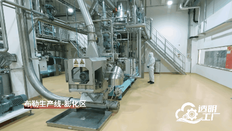 人民网“透明工厂”走进顽皮 解码一颗宠粮的全球进化论(图4)