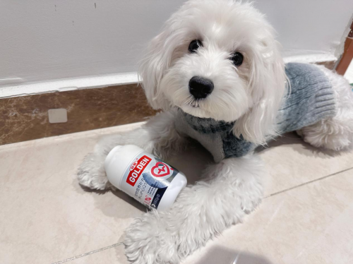 2024宠物新国货谷登辅酶Q10获得“年度创新产品”(图4)