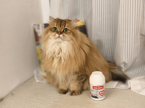 2024宠物新国货谷登辅酶Q10获得“年度创新产品”(图3)