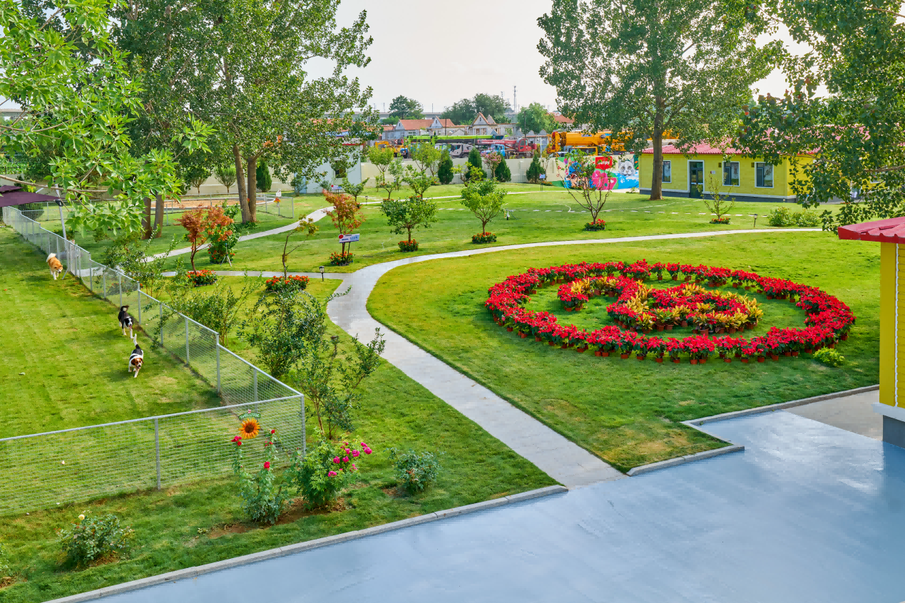 人民网探厂顽皮：一颗让全球安心的中国宠粮是如何炼成的(图5)