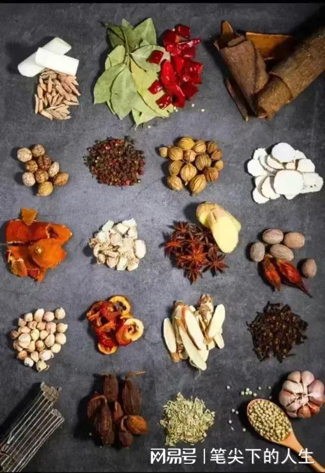 网传一宠物店推出“小狗年夜饭套餐”168元一狗10个菜品(图3)