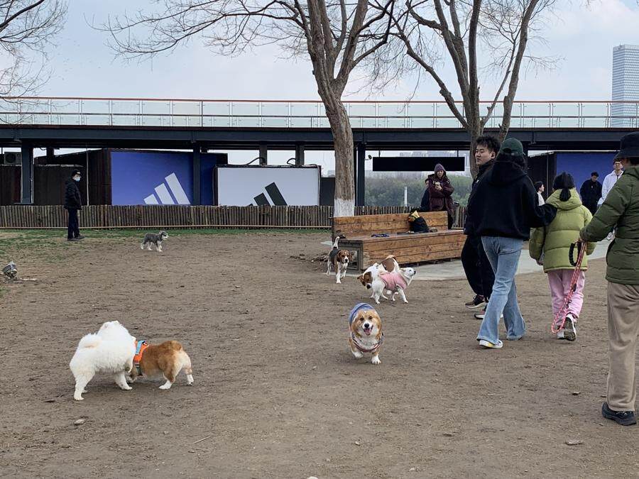 “宠物版的盒马鲜生”走俏超市单日最高营业额破10万(图3)