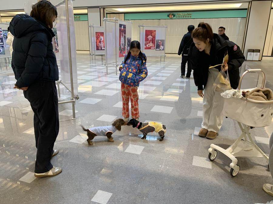 “宠物版的盒马鲜生”走俏超市单日最高营业额破10万(图4)