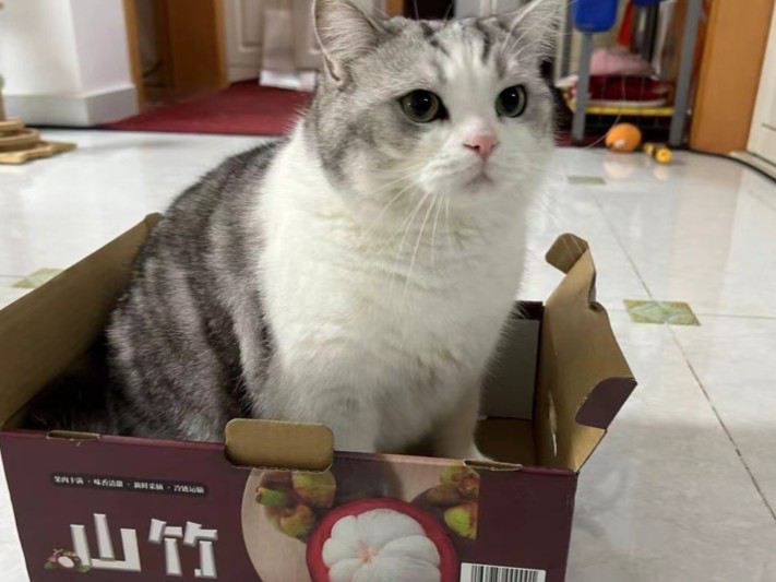 “宠物版的盒马鲜生”走俏超市单日最高营业额破10万(图6)