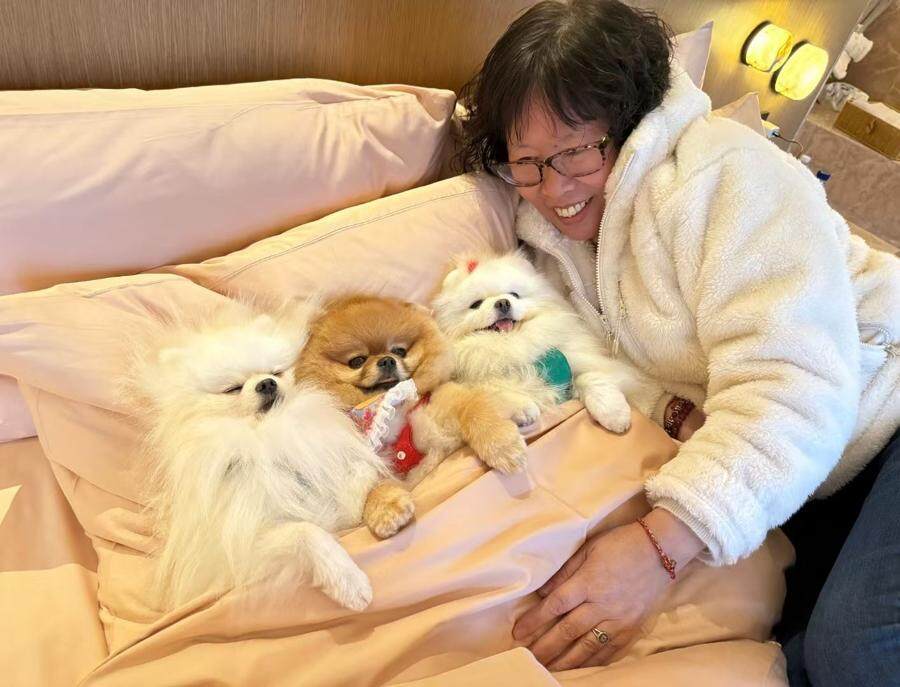 “宠物版的盒马鲜生”走俏超市单日最高营业额破10万(图9)