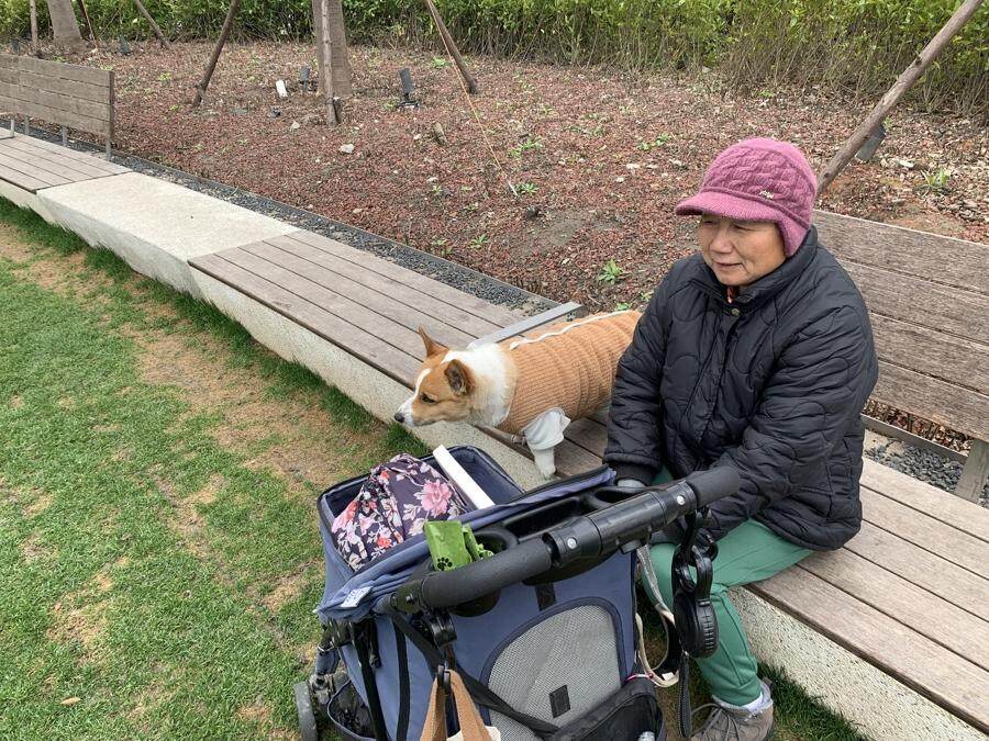 “宠物版的盒马鲜生”走俏超市单日最高营业额破10万(图19)