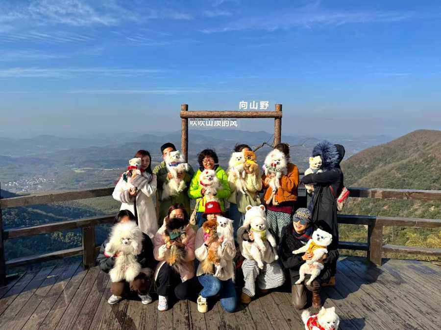 “宠物版的盒马鲜生”走俏超市单日最高营业额破10万(图18)