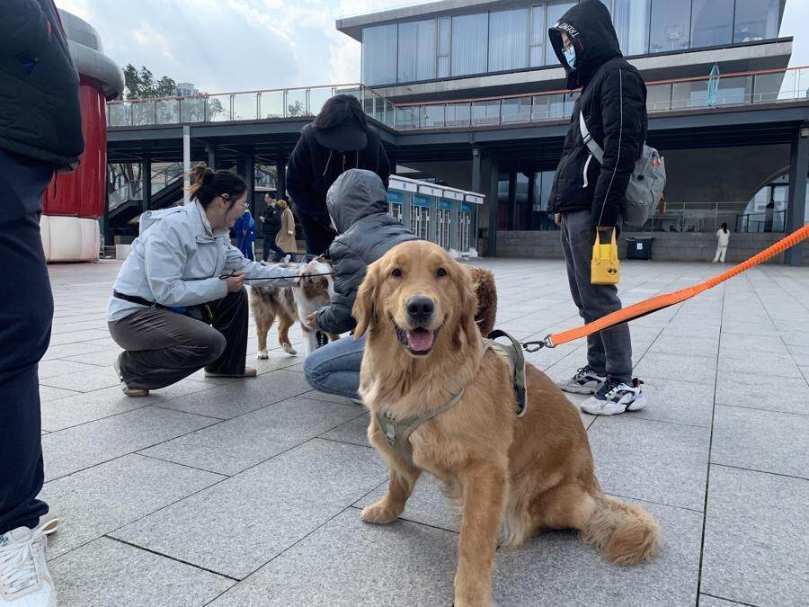 “宠物版的盒马鲜生”走俏超市单日最高营业额破10万(图17)