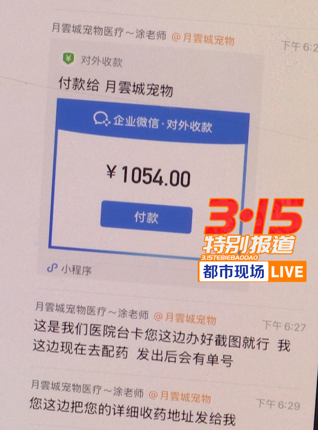 揭线上宠物医疗无证行医乱象 宠物医疗背后的黑幕_中华网(图2)