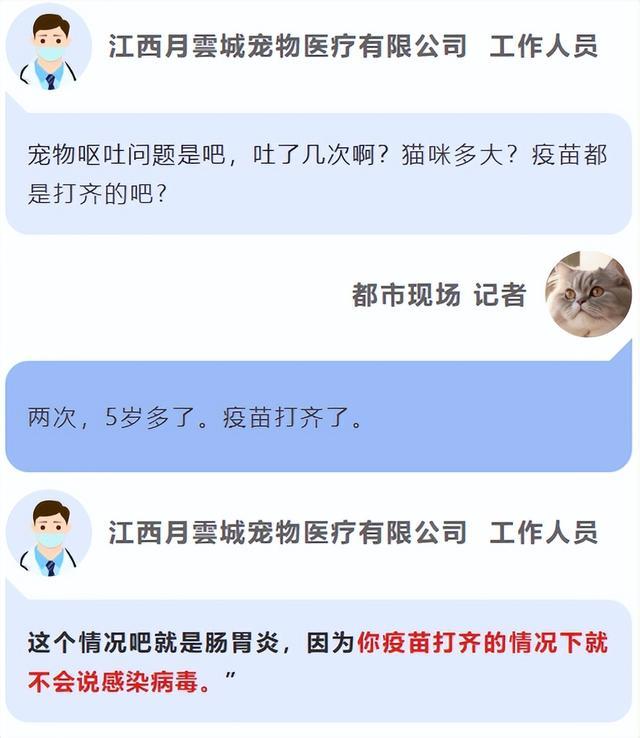 揭线上宠物医疗无证行医乱象 宠物医疗背后的黑幕_中华网(图7)