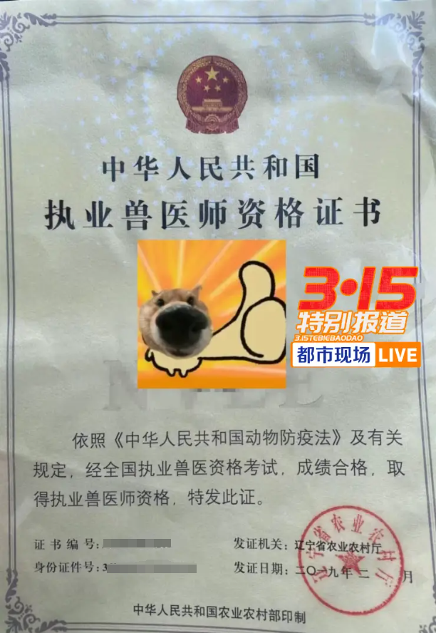 揭线上宠物医疗无证行医乱象 宠物医疗背后的黑幕_中华网(图9)