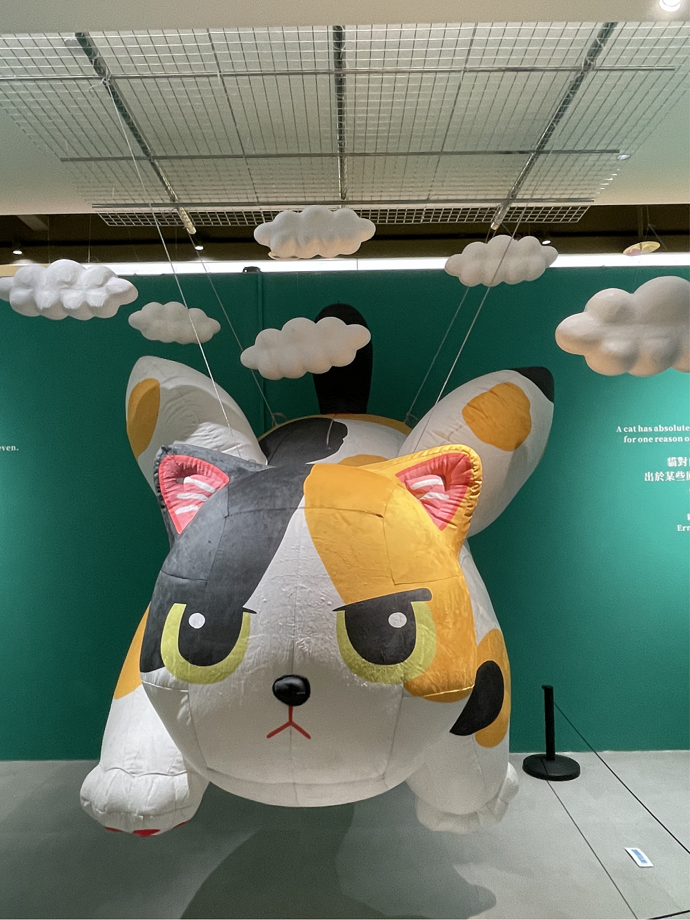 春天拍了拍你说：一起打卡西安雁塔区宝藏商圈(图3)