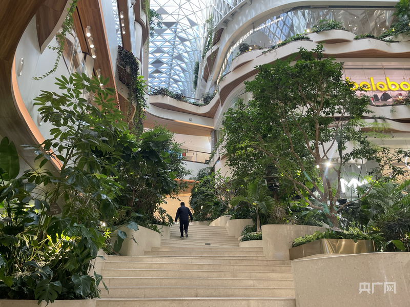 春天拍了拍你说：一起打卡西安雁塔区宝藏商圈(图4)