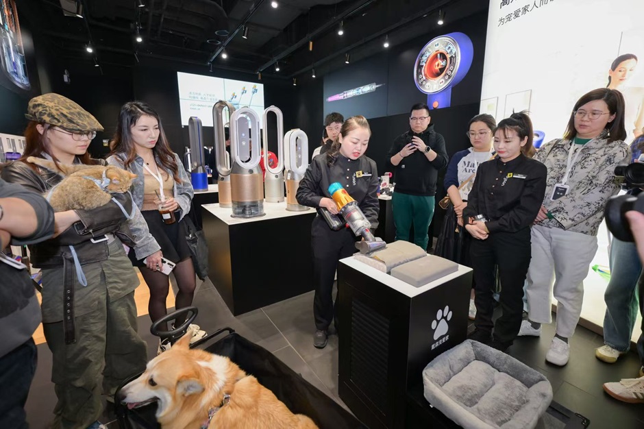 戴森发布中国养宠家庭健康清洁电器白皮书 助力构建健康舒适的“宠爱家”(图6)
