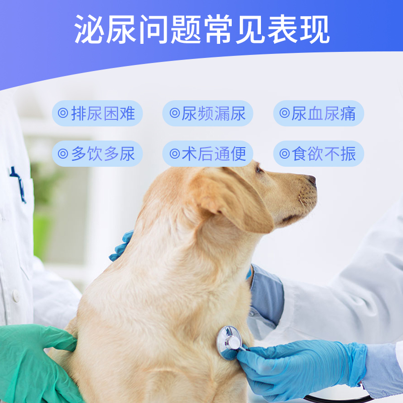 中国宠物老龄化趋势引发新市场：宠物健康与殡葬服务的崛起(图1)