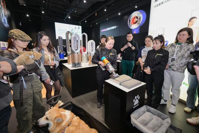 九游官网入口：关注“它经济”他们各方联手构建健康舒适的“宠爱家”(图2)