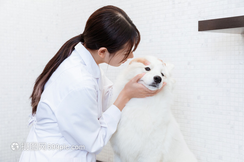 小萌宠撬动“网红曹县”木制品大市场 “原木风”宠物用品远销全球(图1)