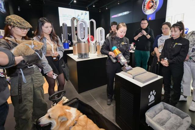 这份事关“毛孩子”的白皮书发布助力打造健康人宠共居空间(图4)