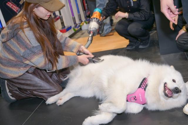 这份事关“毛孩子”的白皮书发布助力打造健康人宠共居空间(图3)