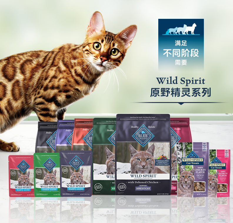 Blue Buffalo蓝挚秉承爱如家人食如家人理念为猫咪构建健康防护(图3)