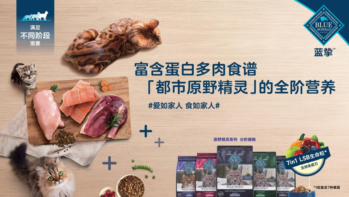 Blue Buffalo蓝挚秉承爱如家人食如家人理念为猫咪构建健康防护(图2)
