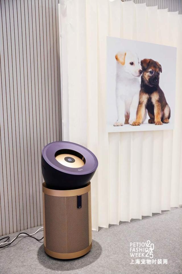 九游app：“养儿式”养宠成年轻人消费趋势宠物时装周上 年轻人把宠物“当娃养”(图10)