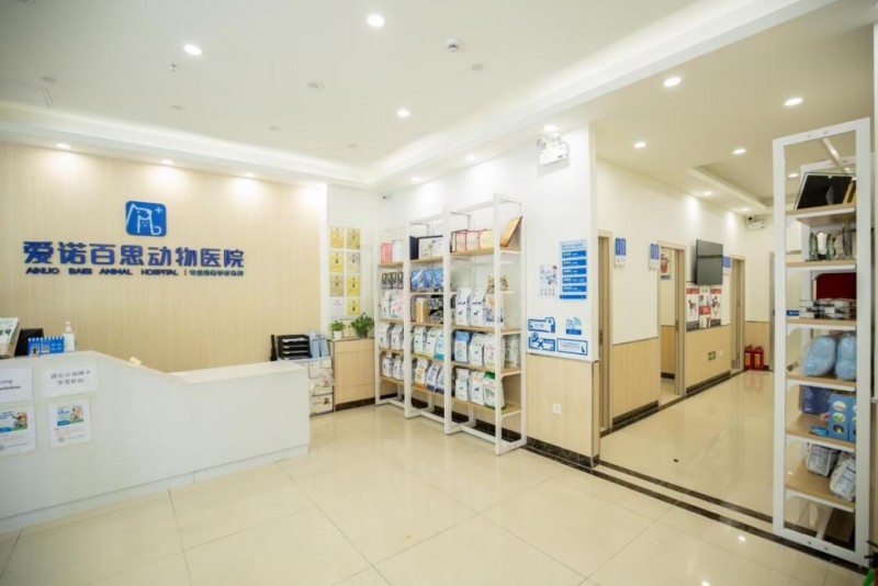 新瑞鹏集团引领宠物心脏专科技术革新：成功实施高难度犬心脏介入手术为爱宠带来新生希望(图2)