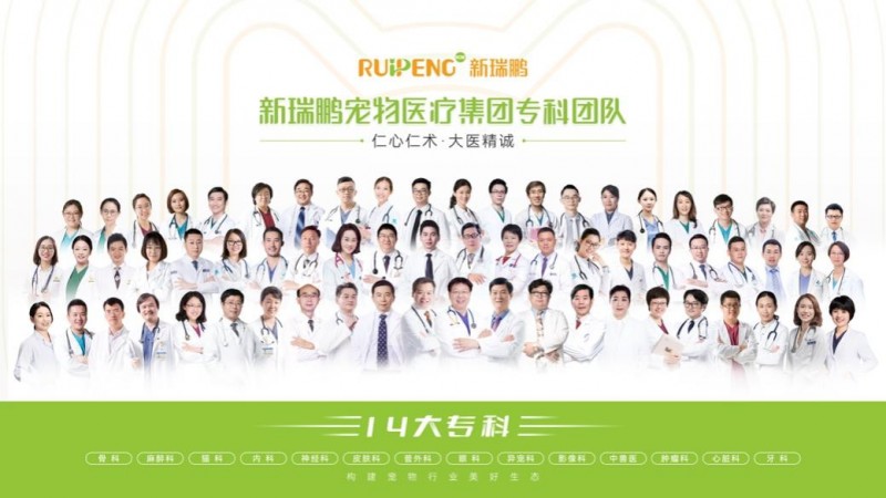 新瑞鹏集团引领宠物心脏专科技术革新：成功实施高难度犬心脏介入手术为爱宠带来新生希望(图5)