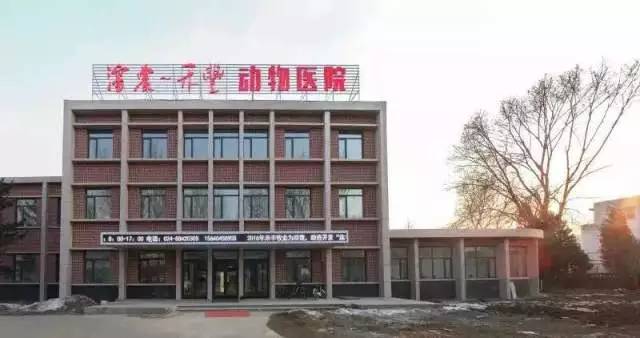 但愿在未来所有的宠物都不用因为高额的医药费而放弃治疗。(图2)