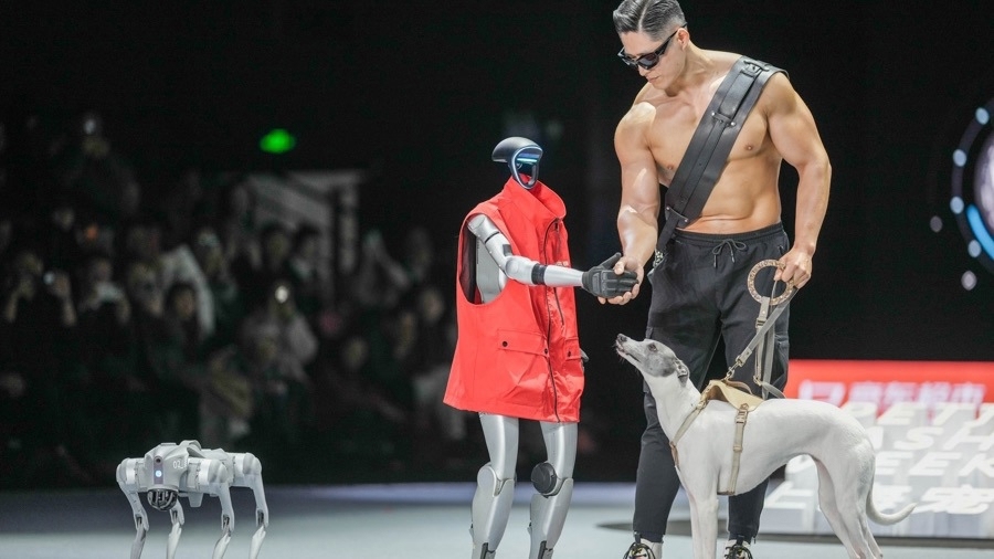 清明小长假上海宠物友好商场青团大卖(图3)