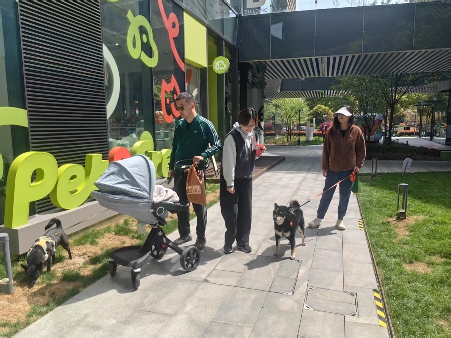 清明小长假上海宠物友好商场青团大卖(图4)