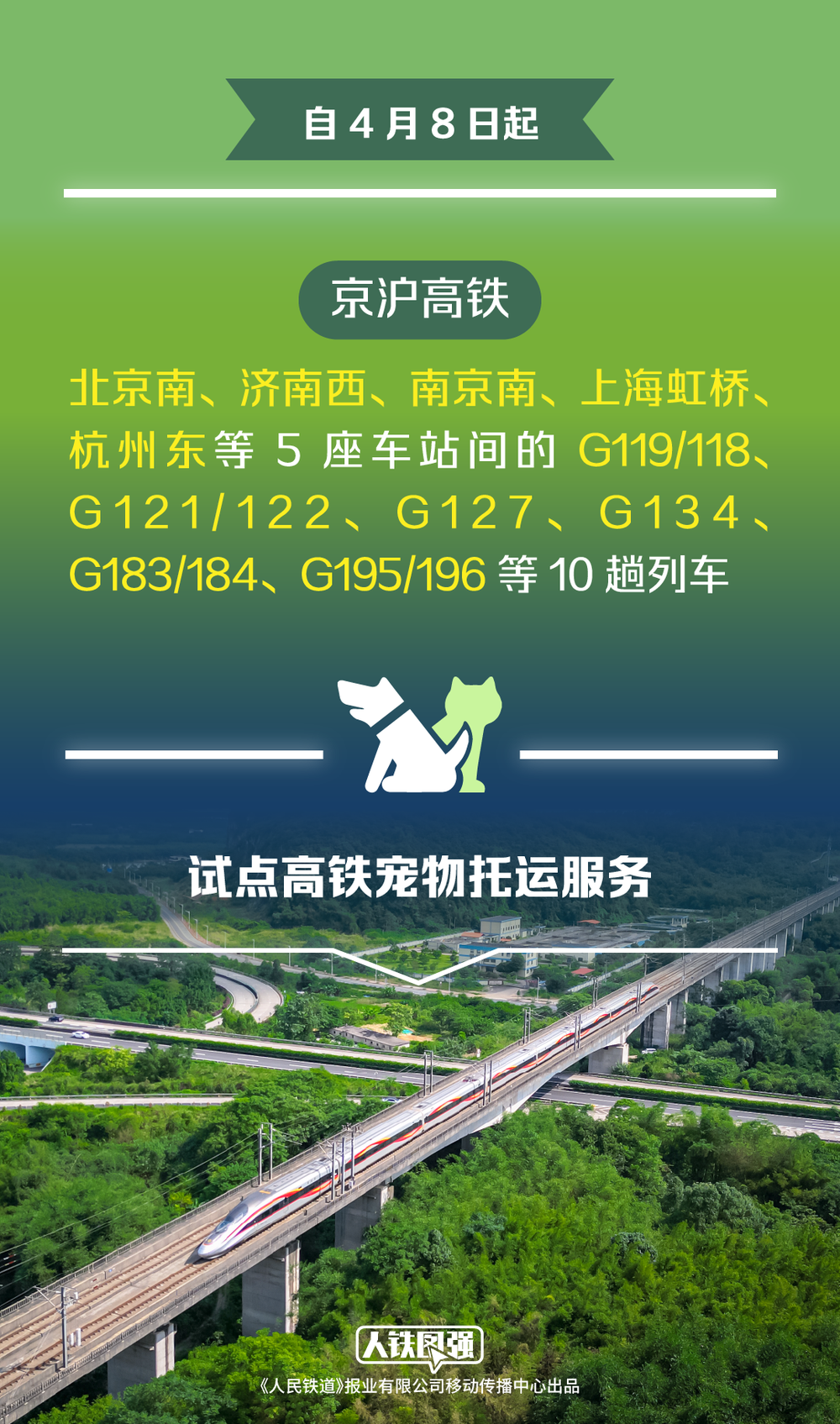 九游app：宠物猫狗可坐高铁了！铁路12306推出“宠物托运”功能(图2)
