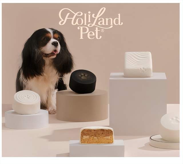 九游体育：富养“毛孩子”的年轻人带飞国产宠粮(图2)